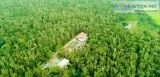 Homestay in Sakleshpur
