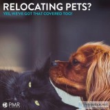 Talkback to PM Relocations for availing Pet Relocation without a