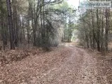 LAND FORSALE 7 ACRES