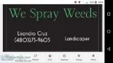 Weed Spraying