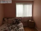 Room  available only for one male person