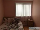 Room available only for one male person