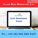Silver Bird Marketing  Top-Quality Life Insurance Leads UK 