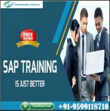 SAP Training Institute in Delhi  SAP Training Center in Delhi