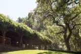 The Best Event Space in Healdsburg
