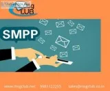 SMPP Software for Business Promotion