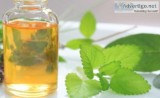 Best Essential Oils Supplier