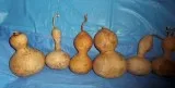 Gourds  Great For Art Projects
