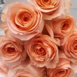 Best Flower Delivery Melbourne - 1 Flower Shop