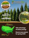 Privacy Trees