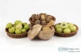 Garcinia Fruit Extract  Arjunanatural.com