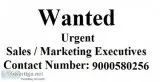 Wanted Executives