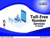 Toll-Free Number Services in Noida