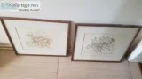 DEERS PICTURES