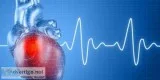 Pears Course Heart and Stroke