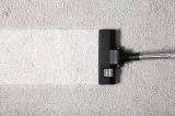 Looking for a Professional Carpet Cleaning Company