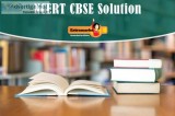 CBSE Syllabus for Class 7