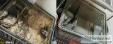 Grease Trap - JP Grease Trap Service Inc.