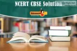 Solved Board Paper CBSE Class 10 English B