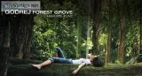 Apartment Sale- Buy Godrej Forest Grove 23 BHK Apartments at 44 