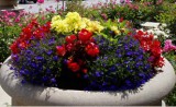 Commercial Landscaping Companies Near Me