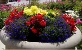 Commercial Landscaping Companies Near Me