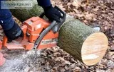 A Tree Removal Company You Can Trust