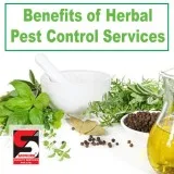 sadguru pest control