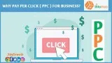 Pay Per Click Services