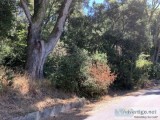 9 Acres for Sale in Felton CA