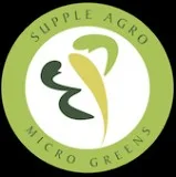 Microgreens | wholesale vegetables suppl