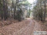 RARE OPPORTUNITY LAND FORSALE 7 ACRES