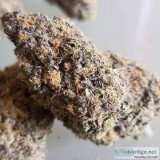 Buy Alien Kush