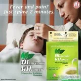 Nilavembu Kudineer For Viral Fever and Associated Pain