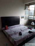 Furnished Rooms in Sector 14 Gurgaon Near Mother dairy 989940146