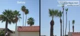 JandR Landscaping- low rates
