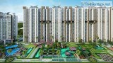 Buy Splendid Flats with Amazing Facilities in Ace Divino  Rs.369