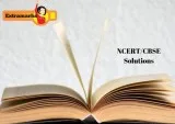 Sample Paper CBSE