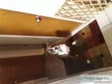 Tank Boxer