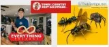Bee Exterminators Pest control Rochester Syracuse Buffalo NY