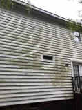 PRESSURE WASH