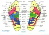 Reflexology Therapy  San Antonio Texas