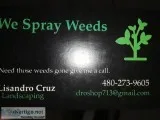 Weed Spraying
