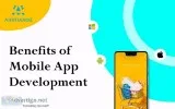 Custom  Mobile App Development Company in USA