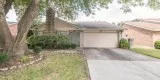 Gorgeous house and affordable price