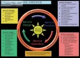 ITIL Foundation
