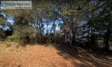 2 Acres for Sale in Chattahoochee FL