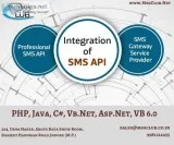 Why to send Bulk SMS to business leads via Bulk SMS API