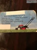 Cat CompanyCompa&ntilde &iacutea El Gato