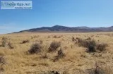 41.42 Acres for Sale in Winnemucca NV